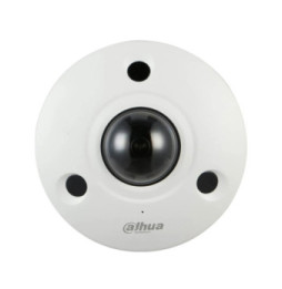 Dahua - Caméra Fisheye IP 12 MP IR 10M IP67 IK10