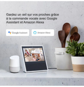 Foscam - Lot 2 Caméras IP Wi-Fi dôme PTZ 2MP - SD2X
