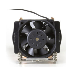 Dynatron A24