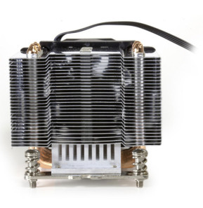 Dynatron A24