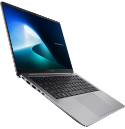 Ordinateur portable Asus ExpertBook P5 (P5405CSA-NZ0411W)