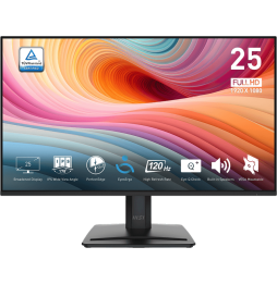 Écran 25" Full HD MSI Pro MP251 E2 (9S6-3PD2CM-001)