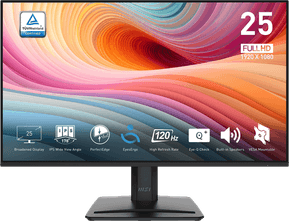 Écran 25" Full HD MSI Pro MP251 E2 (9S6-3PD2CM-001)