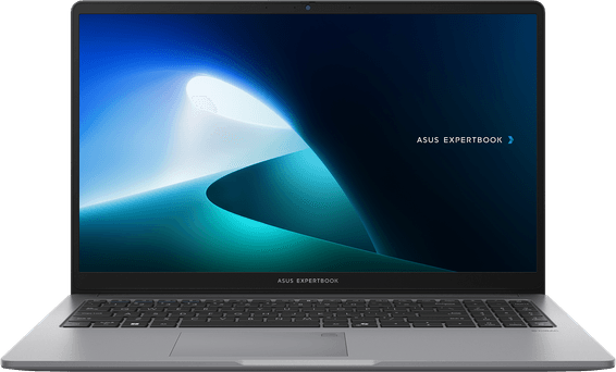 Ordinateur portable Asus ExpertBook P1 (P1503CVA-S71473)