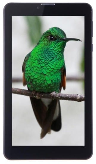 Tablette 3G Haier 7" Tab G700 + PowerBank Trust 8800 mAh Offerte