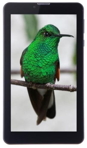 Tablette 3G Haier 7" Tab G700