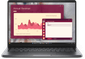 Ordinateur portable Dell Pro 14 PC14250 (DP14-C5-W)