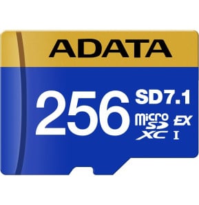 Carte mémoire ADATA Premier Extreme 256 Go...
