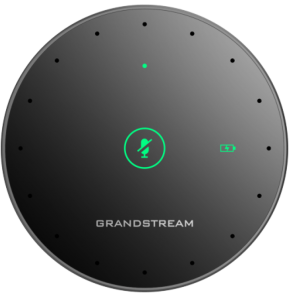 Microphone d’Extension Grandstream GMD1208 pour...