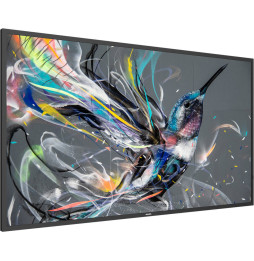 Écran plat 4K UHD 50" de signalisation Philips Q-Line BDL3510Q pour Affichage Dynamique (50BDL3511Q/00)