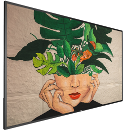 Écran plat 4K UHD 75" Philips D-Line 75BDL4511D pour Affichage Dynamique (75BDL4511D/00)