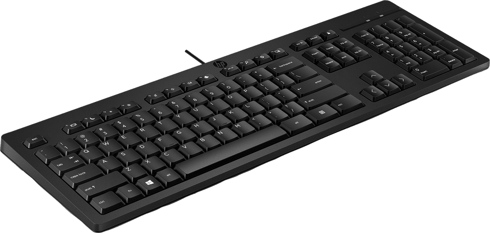 Clavier filaire HP 125 G2 Français - AZERTY (AY2Y7AA) — image 2