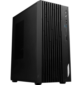 Ordinateur de bureau MSI Pro DP180 14A (9S6-B0A7411-1253)