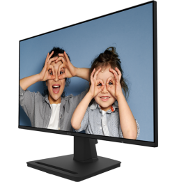 Écran 25" Full HD MSI PRO MP252 (9S6-3PC4CT-017)