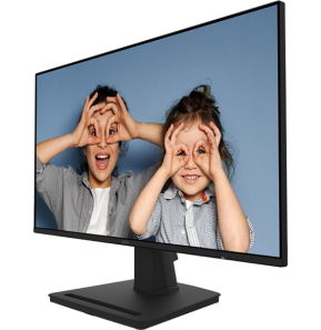 Écran 25" Full HD MSI PRO MP252 (9S6-3PC4CT-017)