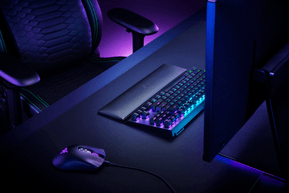Razer Repose poignet pour Clavier Wrist Rest TKL (RC21-01710100-R3M1) — image 8