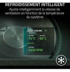 Razer Tapis de Refroidissement pour PC Portable (RC21-02300100-R3GW)