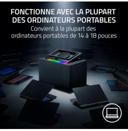 Razer Tapis de Refroidissement pour PC Portable (RC21-02300100-R3GW)