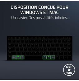 Clavier Sans fil Razer Joro - Français (AZERTY) (RZ03-02360400-R3F1)