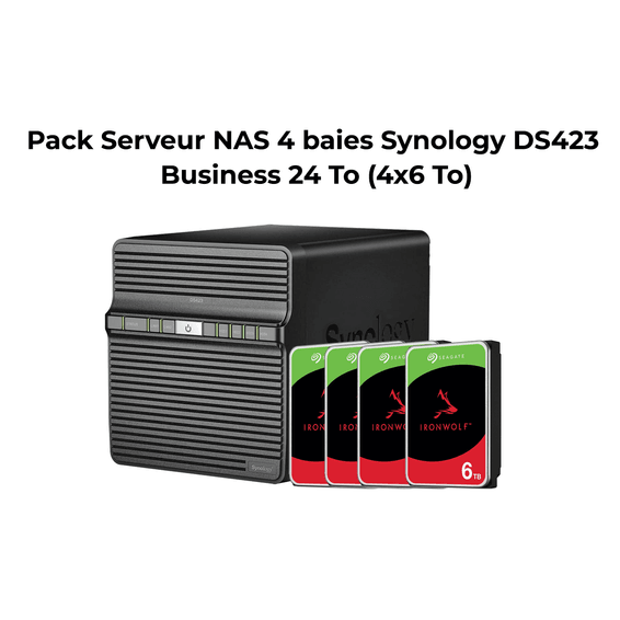 Pack Serveur NAS 4 baies Synology DiskStation® DS423 Business 24 To (4x6 To)