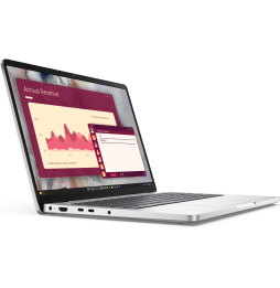 Ordinateur Portable Dell Pro 14 PC14250 (DP14-U5-W)