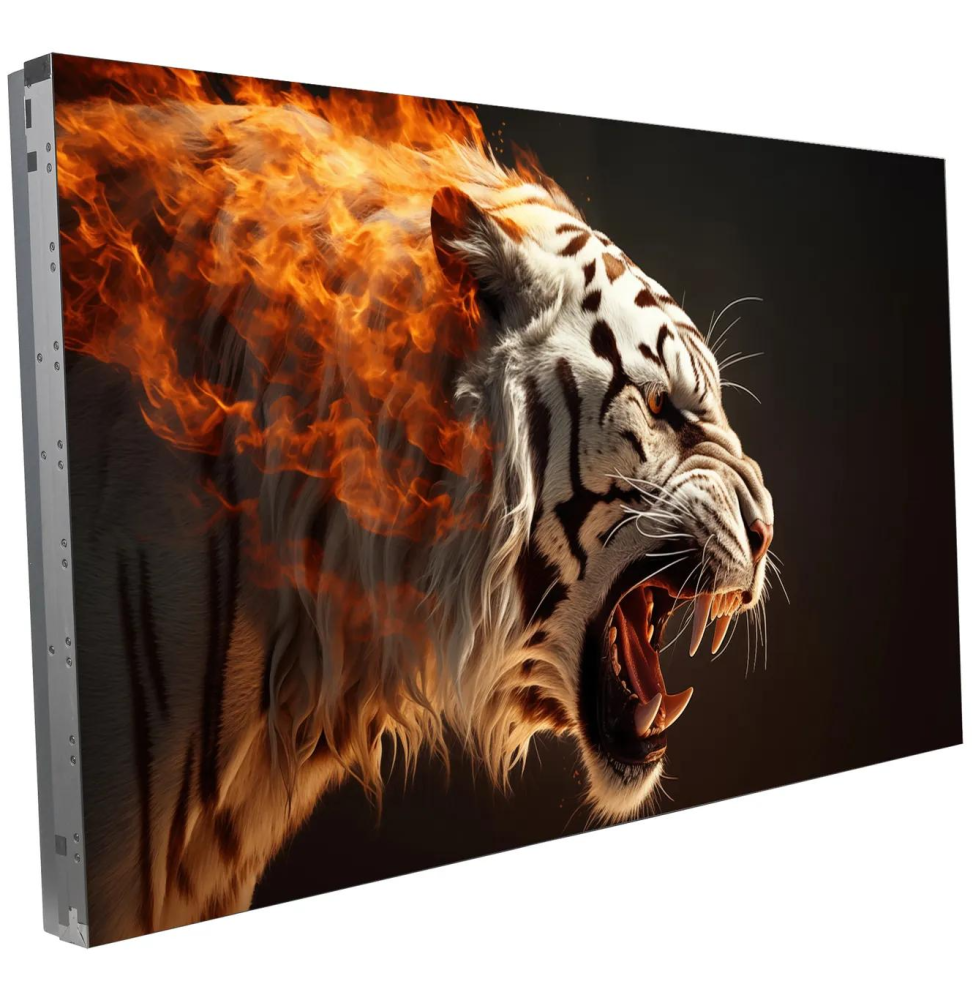 Écran d'affichage 55" Barco OverView LVD-5521D (R9867810F)
