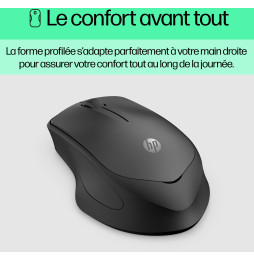 Souris sans fil silencieuse HP 280 (19U64AA)
