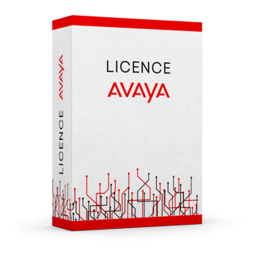 AVAYA – Support CMS R21...