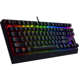 Clavier Gamer Razer Blackwidow V3 Tenkeyless - AZERTY (8886419346050)