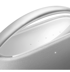 Enceinte stéréo portable Bluetooth Harman Kardon GO+ Play 3 (1200130001123)