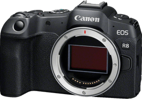Appareil photo hybride Canon EOS R8 + Objectif RF24-105 F4-7.1 IS STM (5803C095) — image 8