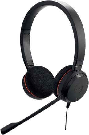 Casque-micro Jabra Evolve 20 MS Stereo - Adaptateur USB C/A (4999-823-169) — image 3