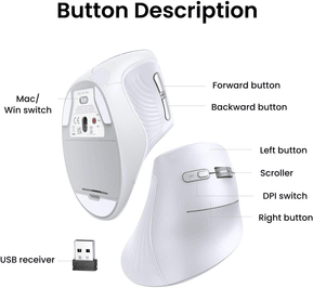 Souris sans fil Bluetooth Ugreen Multi-mode Vertical Blanc MU008 (45759) — image 4