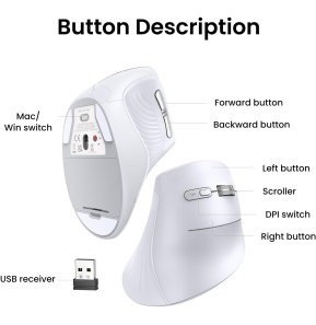Souris sans fil Bluetooth Ugreen Multi-mode Vertical Blanc MU008 (45759)