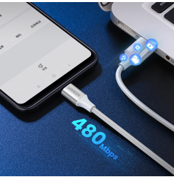 Câble Ugreen USB-A 2.0 vers USB-C - 1 mètre (60131)