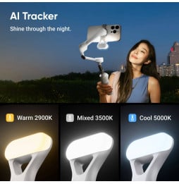 Stabilisateur Insta360 Flow 2 AI Tracker Bundle Blanc (Summit White)