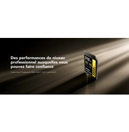 Carte SD Lexar Professional 2000x GOLD SDXC UHS-II 256 Go 300MB/s (LSD2000256G-BNNNG)