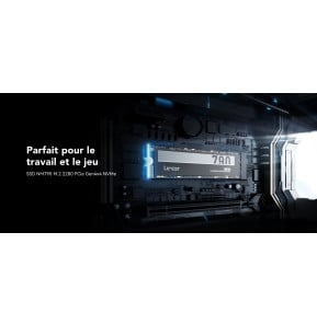 Disque SSD interne Lexar NM790 512 Go M.2 2280 PCIe Gen4 x4 NVMe (LNM790X512G-RNNNG)