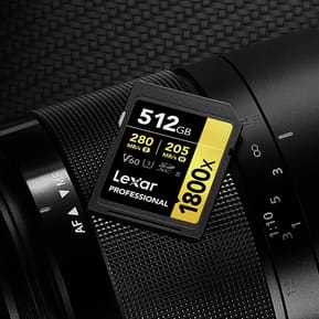 Carte SD Lexar Professional 1800x GOLD SDXC UHS-II 256 Go 280MB/s (LSD1800256G-BNNNG) — image 5