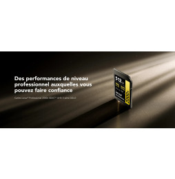 Carte SD Lexar Professional 2000x GOLD SDHC UHS-II 64 Go 300MB/s (LSD2000064G-BNNNG)