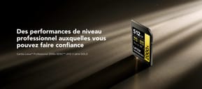 Carte SD Lexar Professional 2000x GOLD SDHC UHS-II 64 Go 300MB/s (LSD2000064G-BNNNG)