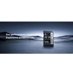 Carte SD Lexar Professional SILVER PLUS SDXC UHS-I 256 Go 205MB/s (LSDSIPL256G-BNNNG)