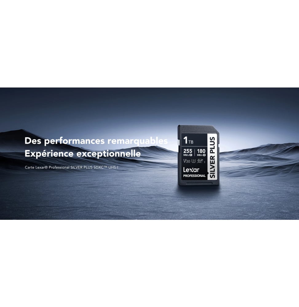 Carte SD Lexar Professional SILVER PLUS SDXC UHS-I 256 Go 205MB/s (LSDSIPL256G-BNNNG)