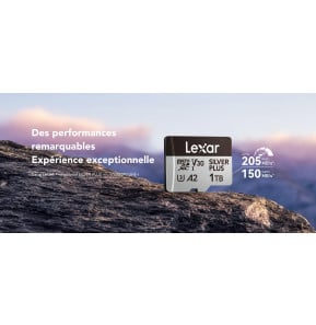 Carte microSD Lexar Professional SILVER PLUS microSDXC UHS-I 256 Go 205MB/s (LMSSIPL256G-BNANG)