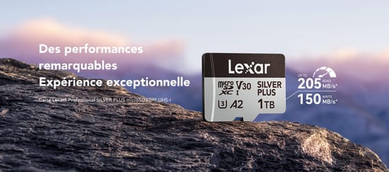 Carte microSD Lexar Professional SILVER PLUS microSDXC UHS-I 256 Go 205MB/s (LMSSIPL256G-BNANG)
