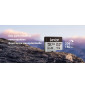 Carte microSD Lexar Professional SILVER PLUS microSDXC UHS-I 256 Go 205MB/s (LMSSIPL256G-BNANG)