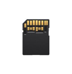Carte SD Lexar Professional 1667x SILVER SDXC UHS-II 128 Go 250MB/s (LSD128CB1667)
