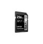 Carte SD Lexar Professional 1667x SILVER SDXC UHS-II 128 Go 250MB/s (LSD128CB1667)