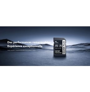 Carte SD Lexar Professional SILVER PLUS SDXC UHS-I 128 Go 205MB/s (LSDSIPL128G-BNNNG)