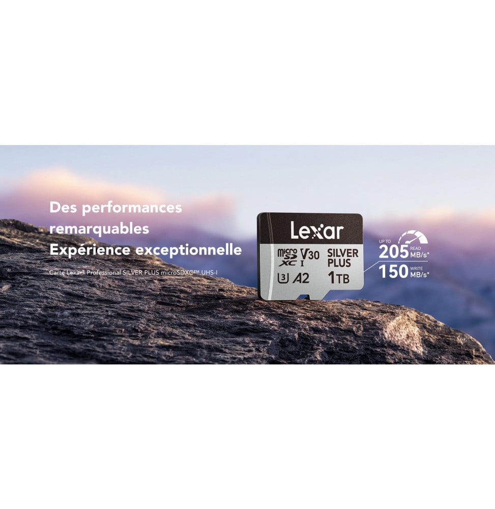 Carte microSD Lexar Professional SILVER PLUS microSDXC UHS-I 128 Go 205MB/s (LMSSIPL128G-BNANG)